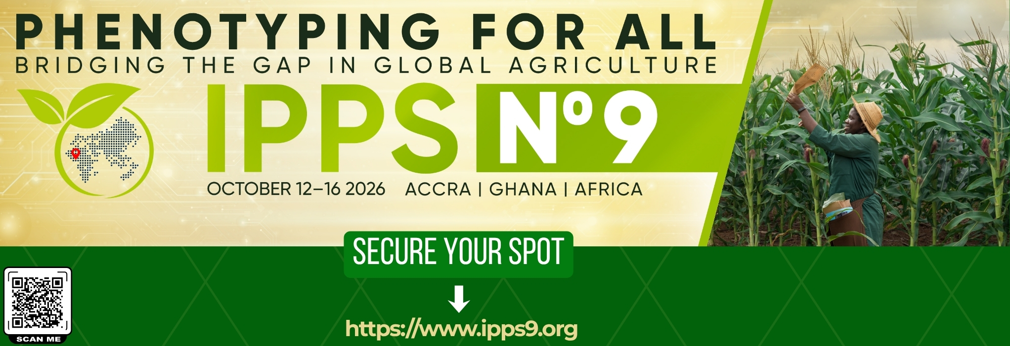 IPPS no 9