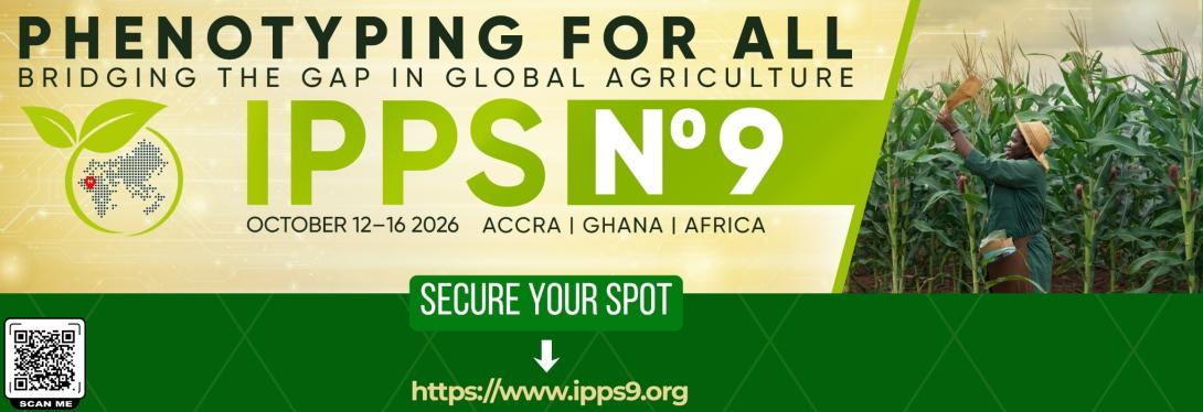 IPPS no 9